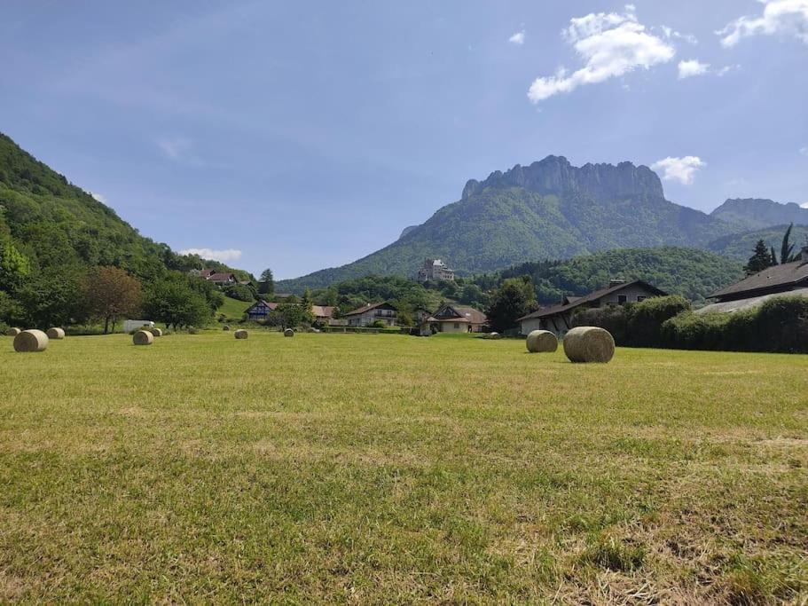 Bel Appartement Au Calme A 5 Minutes Du Village Menthon-Saint-Bernard Bagian luar foto